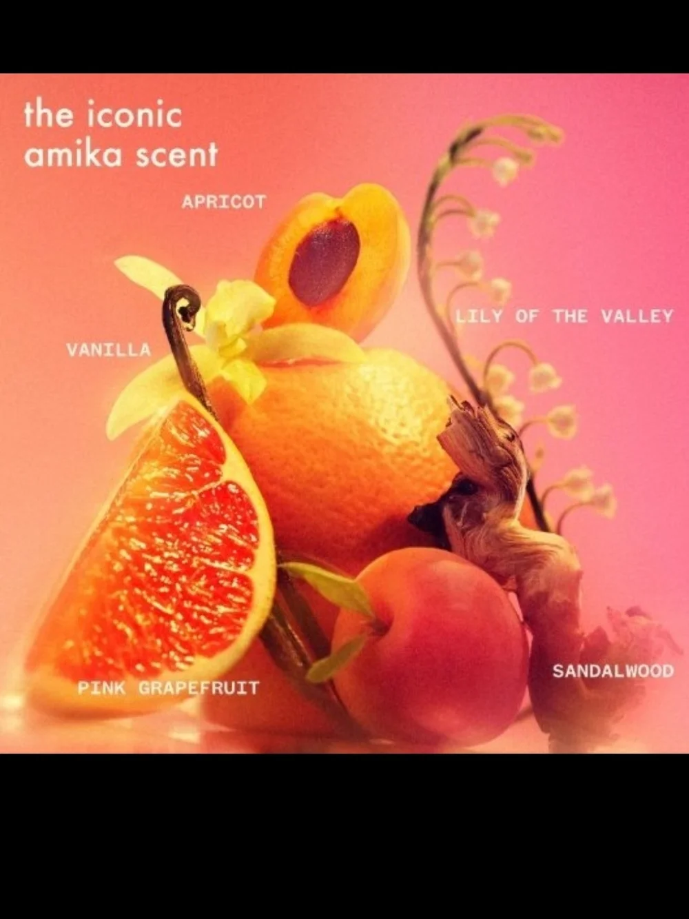 amika how use